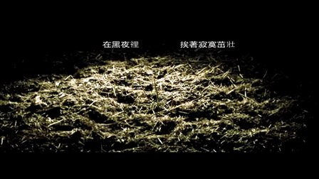 蛮荒情场-杨宗纬