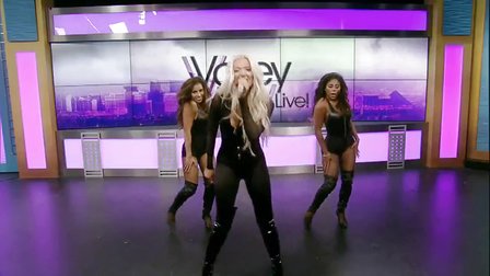 PainkillrValleyView现场版-ErikaJayne