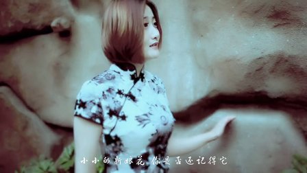 小小新娘花-云菲菲