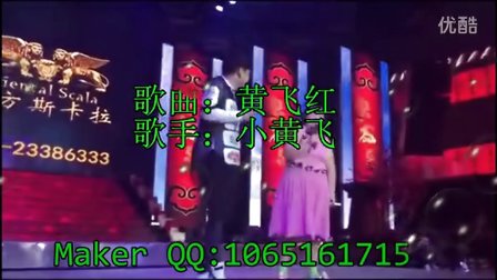 黄飞红dj_小黄飞 - 劲爆DJ视频MTV