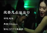 Avi-mp4-爱要怎么说出口-赵传-车载夜店DJ视频