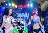 Avi-mp4-我们相爱吧-贺敬轩-DJ小浩-车载美女热舞视频