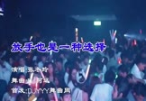 Avi-mp4-放手也是一种选择-张冬玲-DJ阿远-车载夜店DJ视频