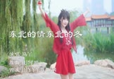 Avi-mp4-东北的情东北的冬-马丫-DJ何鹏-车载美女热舞视频