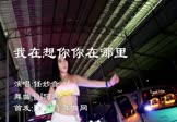 Avi-mp4-我在想你你在哪里-任妙音-DJ何鹏-车载美女热舞视频