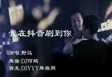 Avi-mp4-我在抖音刷到你-野马-DJ何鹏-车载夜店DJ视频