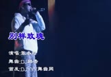 Avi-mp4-别样玫瑰-张冬玲-DJ邱浩-车载夜店DJ视频