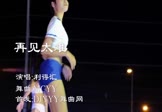 Avi-mp4-再见太难-利得汇-MCYY-车载美女热舞视频