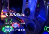 Avi-mp4-这该死的爱-箱子君-刘增瞳-DJLanCe-车载美女热舞视频