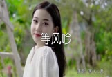 Avi-mp4-等风吟-等什么君-DJ沈念-车载美女写真视频