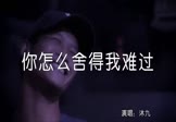 Avi-mp4-你怎么舍得我难过-沐九-DJ王贺-车载夜店DJ视频