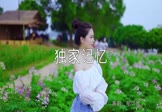 Avi-mp4-独家记忆-郁可唯-DJ培仔-车载美女写真视频