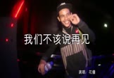 Avi-mp4-我们不该说再见-花僮-DJ可乐-车载夜店DJ视频