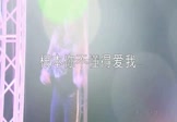 Avi-mp4-根本你不懂得爱我-韦雄-DJPad仔-车载美女热舞视频