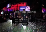 Avi-mp4-你是我夜晚哼唱的歌-赵天野-欧姐-DJQQ-车载夜店DJ视频