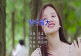 Avi-mp4-情字最大-王富贵-DJAw-车载美女写真视频