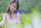 Avi-mp4-我的烦恼-六哲-DJ小嘉-车载美女写真视频