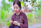 Avi-mp4-你在他乡还好吗-庄妮-DJ阿远-车载美女写真视频