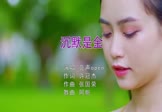 Avi-mp4-沉默是金-亮声Open-DJ阿帆-车载美女写真视频