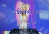 Avi-mp4-想你的时候问月亮-梅朵-DJ沈念-车载美女打碟视频