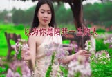 Avi-mp4-以为你是陪我一生的人-李英-DJ默涵-车载美女写真视频