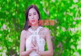 Avi-mp4-红尘相思雨-赵洋-DJ名龙-车载美女写真视频