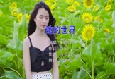 Avi-mp4-她的世界-朱添泽-DJ小拳权-车载美女写真视频