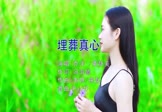 Avi-mp4-埋葬真心-黄静美 乔洋-DJpad仔-车载美女写真视频