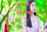 Avi-mp4-月亮惹的祸-陈之-DJ世豪-车载美女写真视频