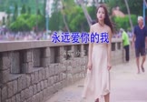 Avi-mp4-永远爱你的我-小军-DJcandy-车载美女写真视频