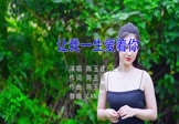 Avi-mp4-让我一生爱着你-陈玉建 王语心-DJcandy-车载美女写真视频