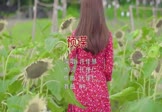 Avi-mp4-预谋-许佳慧-DJNR-车载美女写真视频