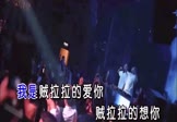 Avi-mp4-贼拉拉-后秋-DJ王贺-车载夜店DJ视频