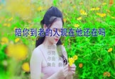 Avi-mp4-一开始说陪你到老的人现在他还在吗-张一阳-DJ姜姜-车载美女写真视频