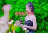 Avi-mp4-听闻远方有你-刘艺雯-DJ庸仔-车载美女写真视频