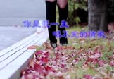 Avi-mp4-你是我一生唱不完的情歌-张津涤-DJ阿华-车载美女写真视频