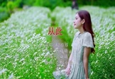 Avi-mp4-从此-az珍珍-DJ小M-车载美女写真视频