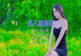 Avi-mp4-男人就是累-陈玉健-DJpad仔-车载美女写真视频