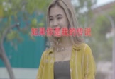 Avi-mp4-如果你是我的传说-RU-DJso-车载美女热舞视频