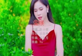 Avi-mp4-尘埃-林小柯-DJyu-车载美女写真视频