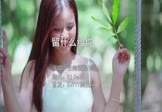 Avi-mp4-留什么给你-云南烟嗓子-DJDell-车载美女写真视频