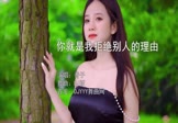 Avi-mp4-你就是我拒绝别人的理由-香子-DJ版-车载美女写真视频