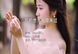 Avi-mp4-你的世界我曾来过-Sweet甜心-DJ何鹏-车载美女写真视频