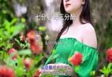 Avi-mp4-七分心碎三分醉-心姐-DJR7-车载美女写真视频