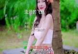 Avi-mp4-流泪的飞蛾-孙艺琪-DJ沈念-车载美女写真视频