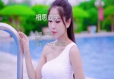 Avi-mp4-相思成灾-网络-DJR7-车载美女写真视频