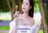 Avi-mp4-雨夜-彭筝-DJR7-车载美女写真视频