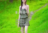 Avi-mp4-爱上你是一个错-杨培安-DJ细霖-车载美女写真视频