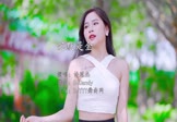 Avi-mp4-沉默是金-许冠杰-DJCandy-车载美女写真视频