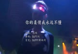 Avi-mp4-你的柔情我永远不懂-陈琳-DJ阿绒-车载美女打碟视频